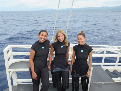 Reef-World团队穿着水母衣及湿衣