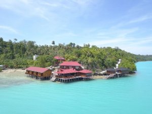 印度尼西亚-马拉图诺亚度假村(Noah Maratua Resort)潜水