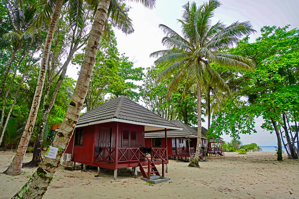 印度尼西亚-香格拉齐潜水度假村(Sangalaki Resort)潜水