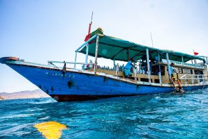 印度尼西亚-科莫多天堂潜水中心(Diver paradise komodo)潜水