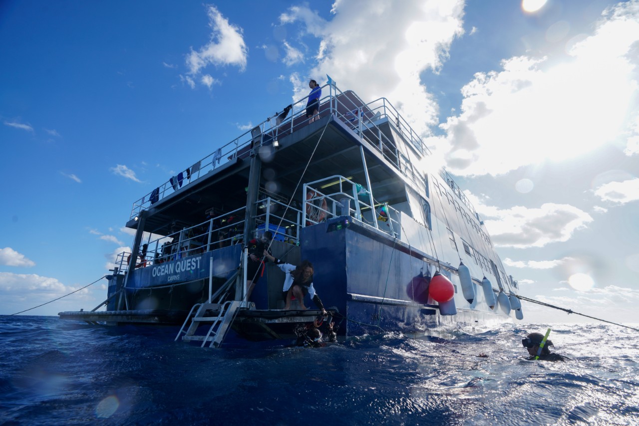 澳大利亚-海洋追寻号大堡礁小须鲸船宿(Divers Den OceanQuest Liveaboard)潜水