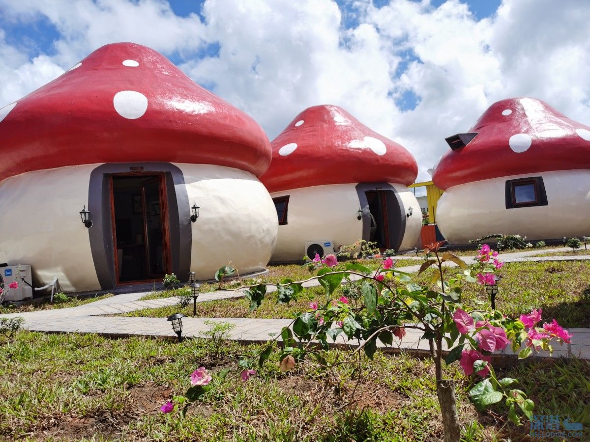 马来西亚-仙本那蘑菇里潜水客栈(Mushrooms Inn)潜水