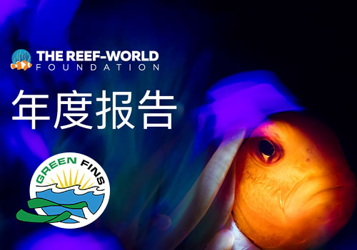 珊瑚礁世界基金会-联合国环境规划署旗下的绿鳍（Green Fins）发布了2020 - 2021年的项目报告，该报告中披露了其重点和主要进展。报告显示，绿鳍在疫情中积极进行调整，以继续为潜水员及会员提供服务，并决心一起努力让海洋环境重获新生。