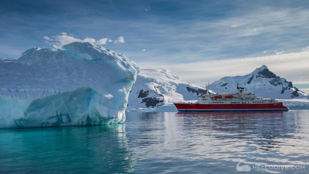 南极洲-南极探险号航海观光船宿（乌斯怀亚出发）(MS Expedition Liveaboard ex Ushuaia)潜水