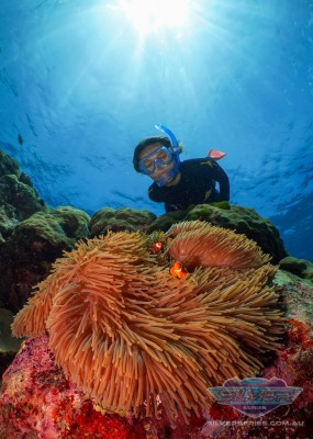澳大利亚-银燕号外堡礁一日游(Silverswift)潜水
