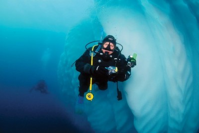 南极洲-阁默号南极户外探险邮轮(Greg Mortimer - Antarctica Diving/Snorkelling)潜水