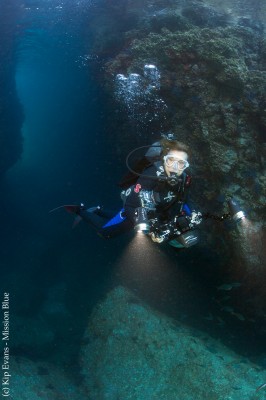 南极洲-曦珥号南极户外探险邮轮(Sylvia Earle - Antarctica Diving/Snorkelling)潜水