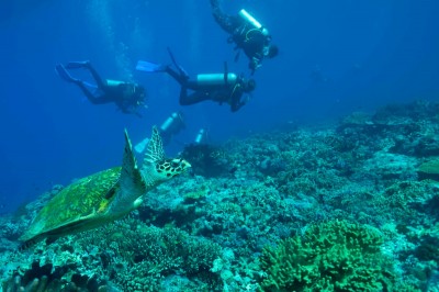 印度尼西亚-巴厘岛潜水学院(Bali Diving Academy)潜水