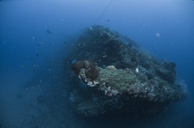 澳大利亚-永嘉拉潜水度假村(Yongala Dive)潜水