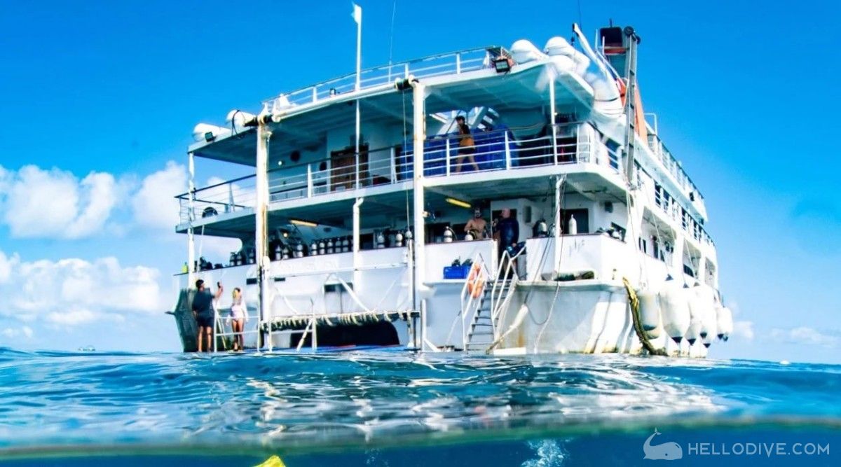 澳大利亚-丽礁奇遇号船宿考证fun dive(Reef Encounter)潜水