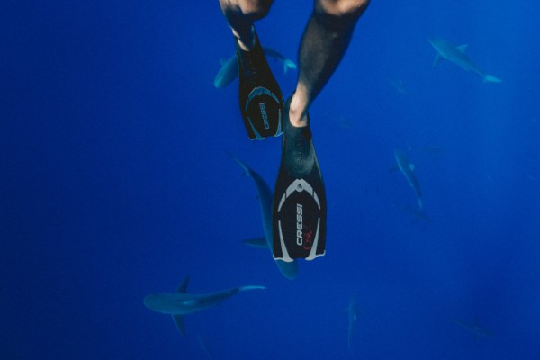 在潜水员“打怪”升级的路上，装备配置往往都是至关重要的一个因素，而其中最重要的装备之一就是你的脚蹼！市面上有这么多不同的类型和风格，你怎么知道哪种脚蹼适合你呢？
