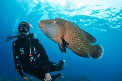 澳大利亚-大堡礁豪华全包潜水一日游(Tusa Cairns Reef Tours)潜水