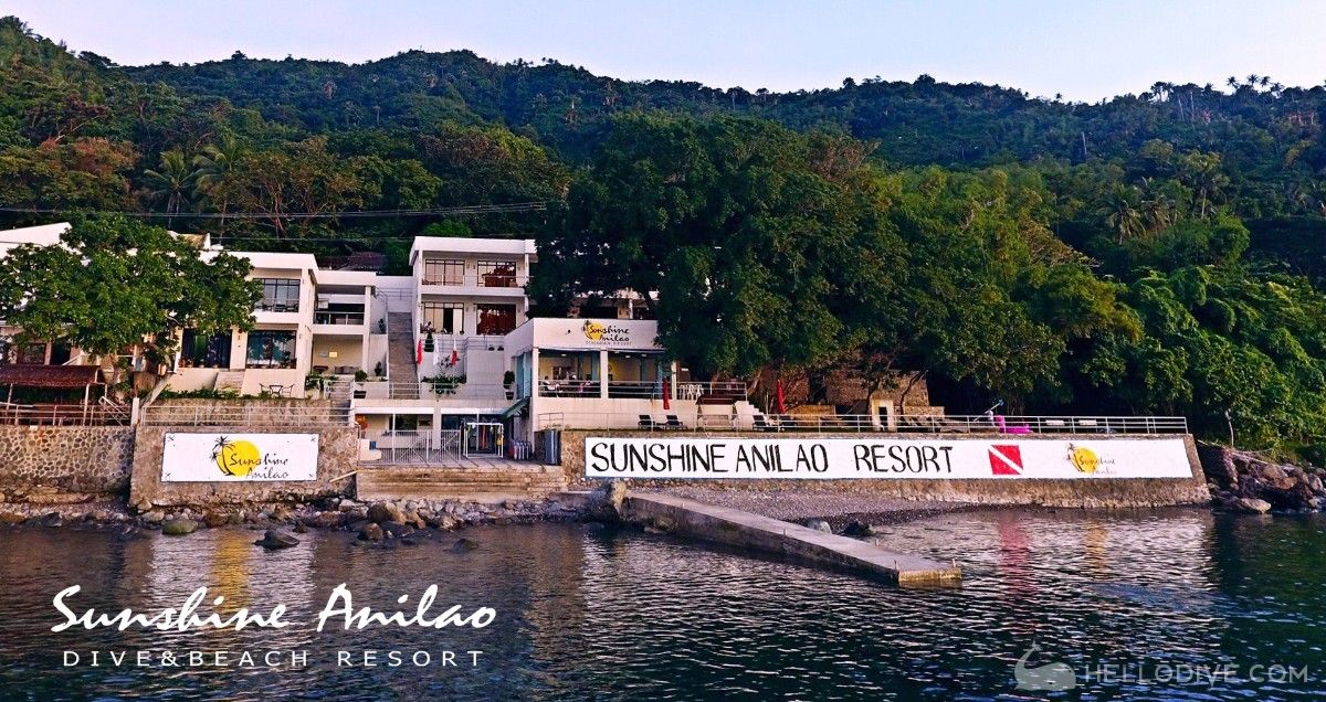 维萨亚-阿尼洛阳光潜水度假村(Sunshine Anilao Dive & Beach Resort)潜水