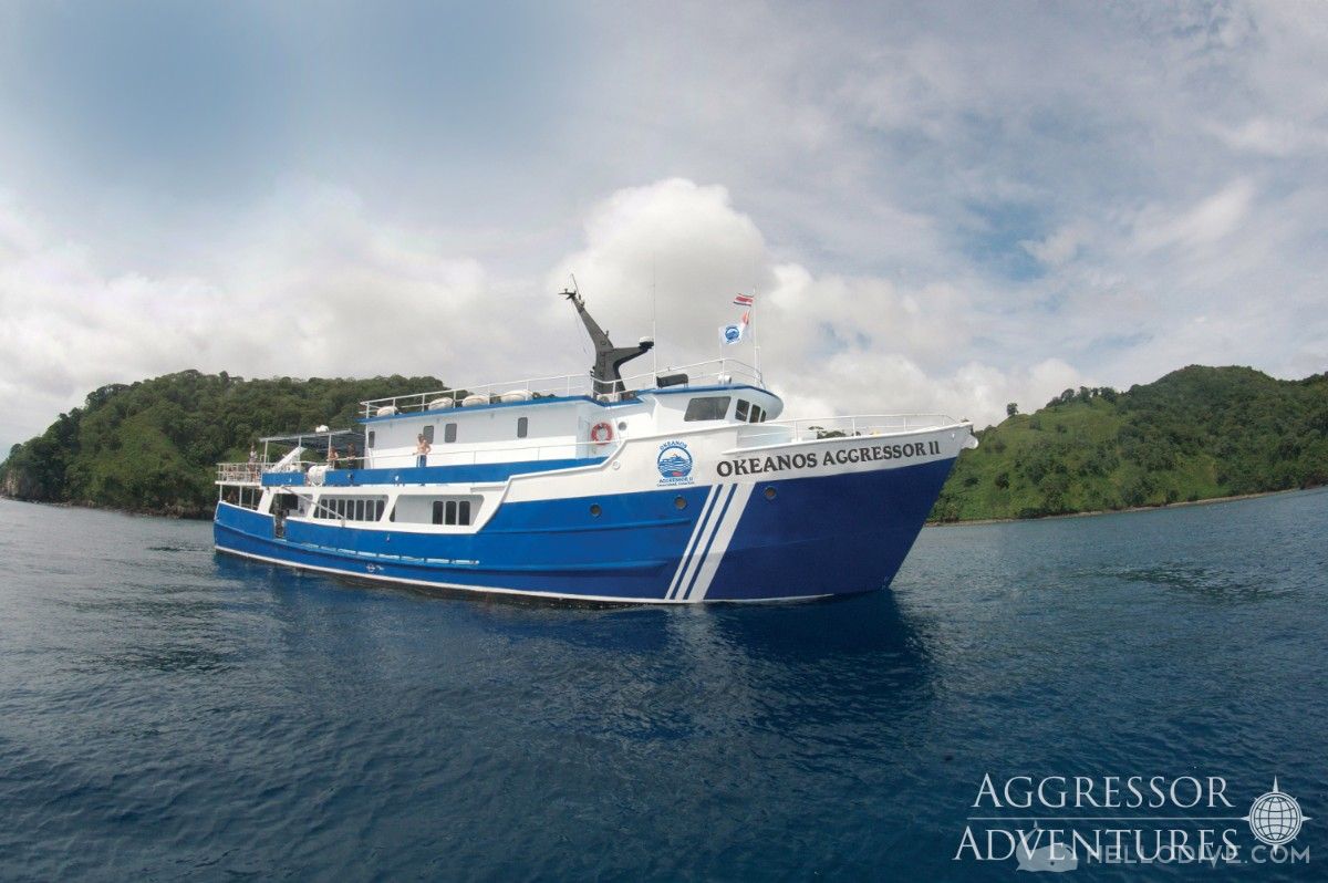 哥斯达黎加-科科斯岛Okeanos Aggressor 2号(Okeanos Aggressor 2)潜水