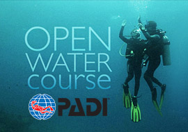 最新版开放水域OW潜水员教学视频