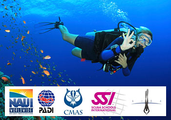 中国潜水运动协会（CUA）    
世界潜水联合会（CMAS）
专业潜水教练员协会（PADI）
国际潜水教练协会（NAUI）
国际潜水学校联盟（ADS）
国际水肺潜水学校（SSI）
PSAI（国际专业潜水协会）
GUE（Global Underwater Explorers）
TDI（技术潜水员国际组织）
IANTD（国际氮氧混合气潜水及技术潜水员协会）
ANDI（美洲氮氧混合气潜水员国际组织）