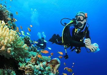 学习水肺潜水是一趟奇妙的探险旅程！